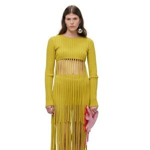 Simon miller kiwi fringes top